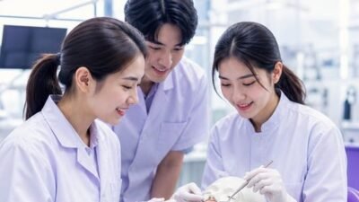 ภาพประกอบบทความ TCAS70 มช. คณะทันตแพทยศาสตร์: 1 โครงการ รับรวม 15 ที่นั่ง